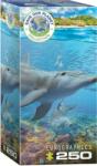 EUROGRAPHICS 8251-5560 - Dolphins - 250 db-os puzzle (8251-5560)