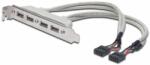 ASSMANN USB Slot Bracket cable, 4x type A-2x10pin IDC (AK-300304-002-E) - nyomtassingyen
