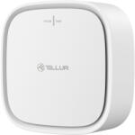 Tellur Gázérzékelő TELLUR, Wi-Fi, 2, 4 GHz, Riasztó, Értesítések TLL331291