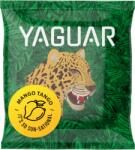 Yaguar Mango Tango 50g (5903919011547)