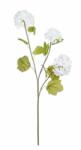 Bizzotto Set 12 flori artificiale verbina alba 70 cm (0172268) - storel