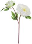 Bizzotto Floare artificiala peonia alba 43 cm (BI0172295) - storel
