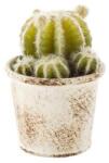 Bizzotto Cactus artificial in ghiveci alb patinat 10 x 10 x 11h (BI0171023C) - storel