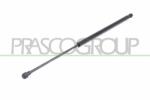 PRASCO Amortizor portbagaj PRASCO DS7109055 (DS7109055)