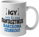  Így néz ki egy fantasztikus Barcelona szurkoló