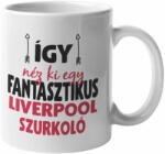  Így néz ki egy fantasztikus Liverpool szurkoló