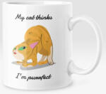  My cat thinks