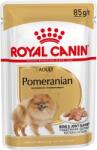 Royal Canin Pomeranian Adult - Pomerániai törpespicc felnőtt kutya nedves táp (48 x 85 g) 4.08 kg