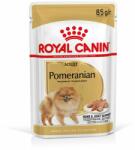 Royal Canin Pomeranian Adult - Pomeránia felnőtt nedves táp 0, 085 kg kutyatáp