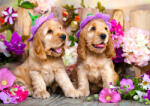 Enjoy 1263 - Spaniel Puppies with Flower Hats - 1000 db-os puzzle (1263)