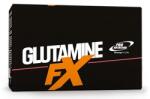 Pro Nutrition Glutamine FX 25 tasak