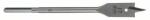Bosch Burghiu plat, hexagonal D= 17, 0 mm; L= 160 mm (2609255263) Burghiu