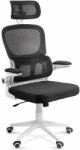  Scaun ergonomic pentru birou cu suport lombar si brate rabatabile OFF 432 negru