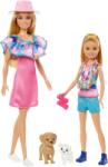 Mattel Stacie To The Rescue - Barbie és Stacie Duó (HRM09) - liliputjatek