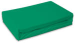  Zöld Menthol frottír gumis lepedő 180x200 cm (JFK103348) - mesesajandek