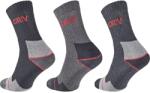 CERVA Chertan speciális zokni mix (3pár) (0316001799741)