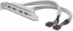 ASSMANN USB Slot Bracket cable, 4x type A-2x10pin IDC AK-300304-002-E (AK-300304-002-E)