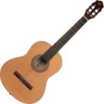 Ortega Guitars RSTC5M 4/4