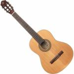 Ortega Guitars RSTC5M-L LH