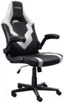Trust 25130 GXT 703W Riye gaming szék fehér
