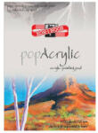 KOH-I-NOOR Rajztömb KOH-I-NOOR Pop Acrylic A/3 speciális papírból 400gr 10 lapos (01_02247)