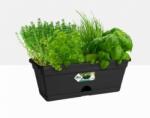 Elho Green Basics Trough Mini Living Black műanyag balkonláda 30 cm