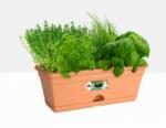 Elho Green Basics Trough Mini 30 cm Mild Ter, műanyag kaspó