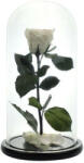 Aranjamente florale - Trandafir criogenat in cupola de sticla 25 cm, pe pat de petale Blue