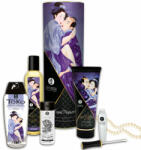 Shunga - shunga kits Carnal pleasure kit
