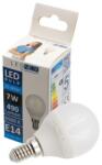 LedNex Bec LED, E14, 7W, sferic, 6500K, LEDNEX (LED BULB G45 7W 6500K)