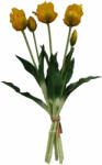 Saska Garden csoport 5 éles sárga tulipáns 40cm-es élő tavaszi dísz (com5902431051833)