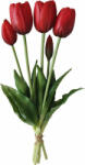 Saska Garden 5 db piros tulipáns csokor 40cm-es élő tavaszi dísz (com5902431047690)