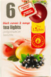 Tea lights Illatos teamécses tl6 mangó-feketeribizli 1055 6 db - nutriworld