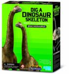 4M Set educativ Sapa si descopera Dinozauri - Brachiosaurus (4M-03237)