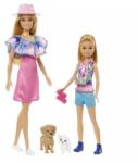 Mattel Barbie: Stacie to the Rescue - Barbie és Stacie baba HRM09