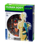 Thames & Kosmos Kit STEM Anatomia corpului uman