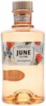  June by G'Vine Peach Gin Likőr Mini - 0, 05L (37, 5%) - ginshop