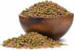 GRIZLY Fasole mungo, alfalfa, ridiche BIO mix de semințe pentru germinare 250 g