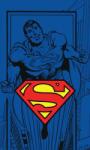 Brandmac Superman Kéztörlő arctörlő, törölköző 30*50cm (CBX191112SUP)
