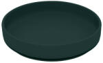 PETITEMARS PETITE&MARS Szilikon tányér tapadókoronggal TAKE&MATCH Misty Green 6m+ - vital24