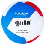 Gala Pro Line 12 BV 5125 S (BV 5125 S)