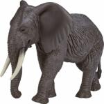 Mojo elefant african (DDMJ387189) Figurina