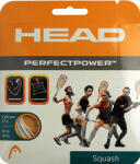 Head Squash húrok Head Perfect Power (10 m) - white