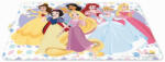 Stor Tányéralátét műanyag - Disney Hercegnők (674472)