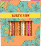 Burt's Bees "Just Picked" ajakbalzsam szett - 1 szett