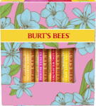Burt's Bees "In Full Bloom" Lip Balm Set - 1 szett