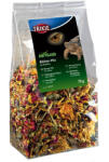 TRIXIE Mix De Flori, 75 g, 76394