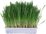 TRIXIE Iarba Pentru Rozatoare, 100 g, 6035