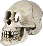 TRIXIE Decor Craniu 15 cm 8713