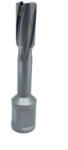 CRIANO Carota pt. otel din carbura de tungsten, ⌀ 17mm, h=50mm, cu prindere Weldon - DXDY. P-TCT-50.17. W (DXDY.P-TCT-50.17.W)